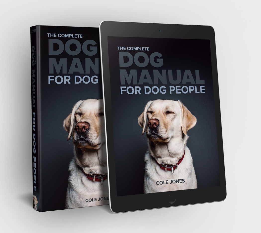 Ebook Covers 1